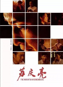 剑雨情缘攻略：新手玩家必备技巧